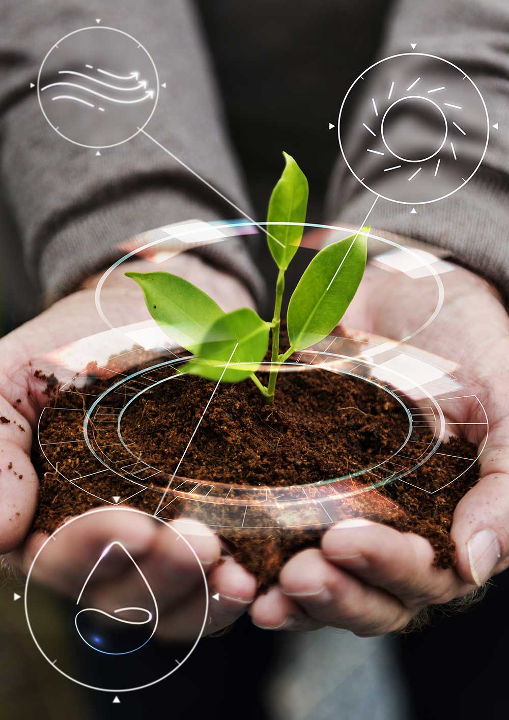 Crop Monitoring
